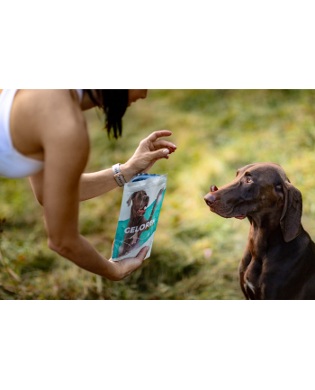 contipro GELOREN Large Dog Suplement dla psa  - 420g nr 2