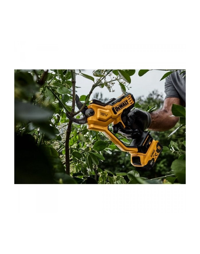 Sekator DCMPP568N Dewalt główny