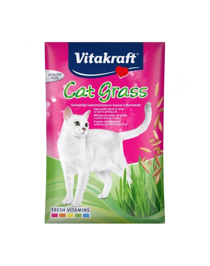 VITAKRAFT CAT GRASS nasiona trawy przysmak dla kota 50g główny