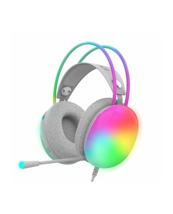Inca Igk-X8Y Szary (IGKX8Y)