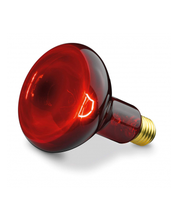 Lampa na podczerwień 100W                     IL11