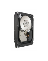 SEAGATE 300GB 15000RPM SAS 16MB ST3300657SS - nr 13