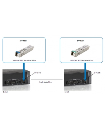Levelone Sfp-9221 - Sfp (Mini-Gbic) Transceiver Module Gige (SFP9221) nr 1