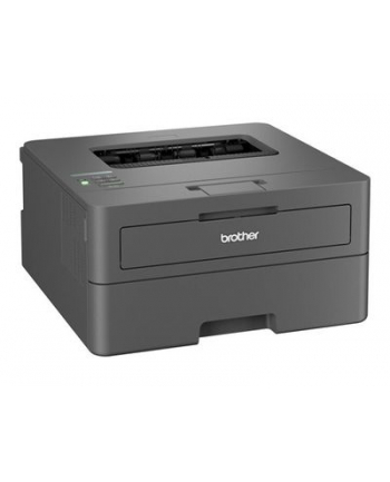 Brother HL-L2400DWE