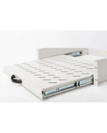 Digitus 2U 19''  (DN19TRAY2450) nr 1