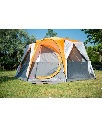 Coleman Cortes Octagon 8 Szary nr 1