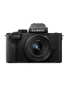 Panasonic DC-G100DK + H-FS12032 12-32mm, F3.5-5.6 - nr 14
