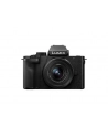 Panasonic DC-G100DV Lumix + H-FS12032 12-32mm, F3.5-5.6 + stativ grip SHGR2 - nr 34