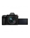 Panasonic Lumix G9II + Leica 12-60mm f/2.8-4 ASPH. + Akumulator Panasonic BLK22 - nr 14