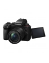 Panasonic Lumix G9II + 12-60mm f/3.5-5.6 Power O.I.S. + Akumulator Panasonic BLK22 - nr 10
