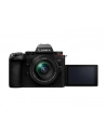 Panasonic Lumix G9II + 12-60mm f/3.5-5.6 Power O.I.S. + Akumulator Panasonic BLK22 - nr 1