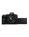 Panasonic Lumix G9II + 12-60mm f/3.5-5.6 Power O.I.S. + Akumulator Panasonic BLK22 - nr 8