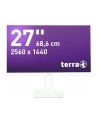 Wortmann Ag TERRA 23,8'' 2465W PV (3030222) GREENLINE PLUS USB-C/DP/HDMI - nr 11