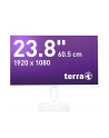 Wortmann Ag TERRA 23,8'' 2465W PV (3030222) GREENLINE PLUS USB-C/DP/HDMI - nr 1