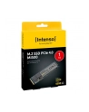 Intenso MI500 1TB, SSD (PCIe 4.0 x4, NVMe 1.4, M.2 2280) - nr 10