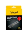Intenso MI500 1TB, SSD (PCIe 4.0 x4, NVMe 1.4, M.2 2280) - nr 25