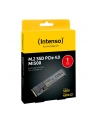 Intenso MI500 1TB, SSD (PCIe 4.0 x4, NVMe 1.4, M.2 2280) - nr 26
