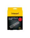 Intenso MI500 1TB, SSD (PCIe 4.0 x4, NVMe 1.4, M.2 2280) - nr 5
