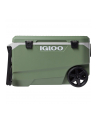 Igloo ECOCOOL Latitude 90 Roller, cool box (green/Kolor: BIAŁY) - nr 1