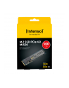 Intenso MI500 500GB, SSD (PCIe 4.0 x4, NVMe 1.4, M.2 2280) - nr 1