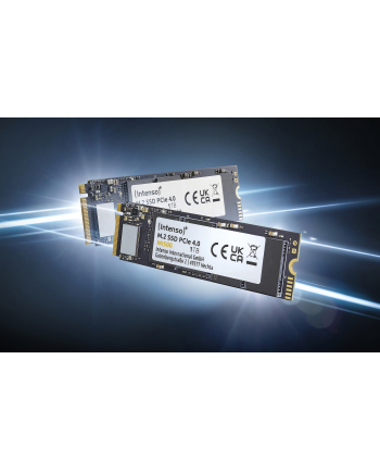 Intenso MI500 500GB, SSD (PCIe 4.0 x4, NVMe 1.4, M.2 2280)