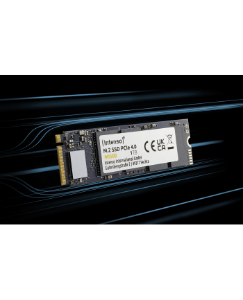 Intenso MI500 500GB, SSD (PCIe 4.0 x4, NVMe 1.4, M.2 2280)