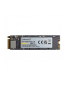 Intenso MI500 500GB, SSD (PCIe 4.0 x4, NVMe 1.4, M.2 2280) - nr 7