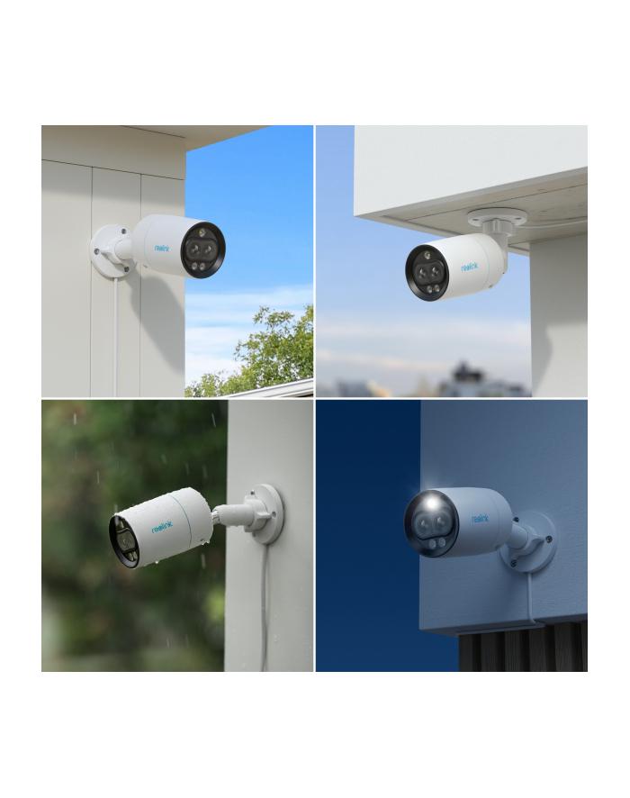 Reolink P330M, surveillance camera (Kolor: BIAŁY/Kolor: CZARNY, PoE, dual lens) główny