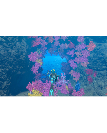 Nintendo Endless Ocean Luminous, Nintendo Switch game