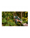 bosch powertools Bosch cordless secateurs EasyPrune Classic, 3.6 volts (green/Kolor: CZARNY, reduces hand strain) - nr 10