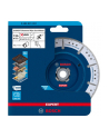 bosch powertools Bosch X-LOCK diamond cutting disc EXPERT Diamond Pipe Cut Wheel, 125mm (bore 22.23mm) - nr 1
