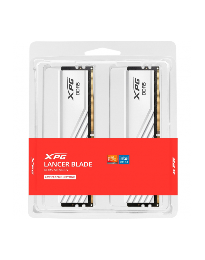 ADATA DDR5 - 32GB - 6000 - CL - 30 (2x 16 GB) dual kit, memory (Kolor: BIAŁY, AX5U6000C3016G-DTLABWH, XPG Lancer Blade, INTEL XMP, AMD EXPO) główny