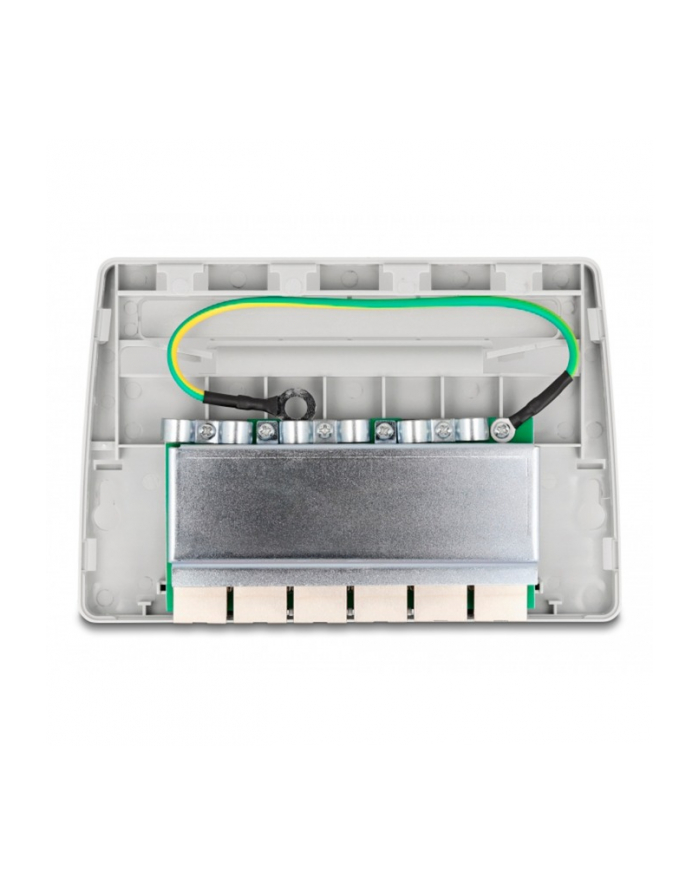 DeLOCK Mini Desktop Patch Panel 6 Port Cat.6a (grey) główny