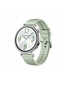 Smartphome Huawei Watch GT4 41mm (Aurora-B19FG), Smartwatch (silver/green, fluoroelastomer strap in green) - nr 25