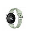 Smartphome Huawei Watch GT4 41mm (Aurora-B19FG), Smartwatch (silver/green, fluoroelastomer strap in green) - nr 29