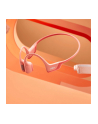Shokz OpenRun Pro, headphones (pink, Bluetooth, IP55) - nr 4