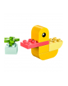 LEGO 30673 DUPLO My First Duck, construction toy - nr 4