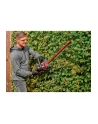 Einhell cordless hedge trimmer GE-CH 36/61 Li-Solo, 36Volt (2x18V) (red/Kolor: CZARNY, without battery and charger) - nr 2