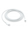 apple Kabel USB-C TO LIGHTNING (2M) - nr 13