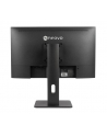 Monitor AG NEOVO 23,8 cala LW-2403 HDMI  VGA - nr 33