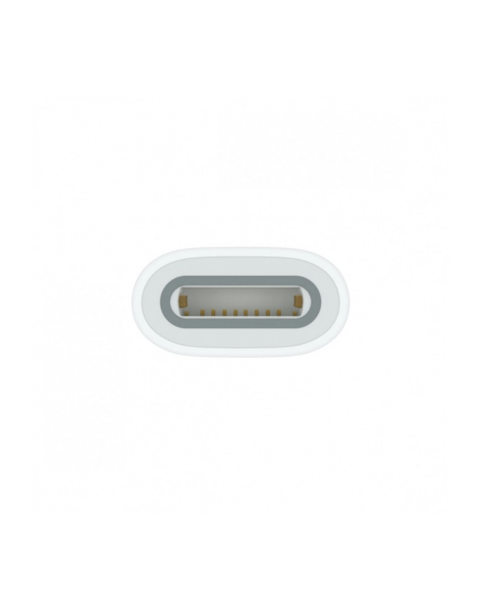 apple Adapter USB-C na Pencil główny