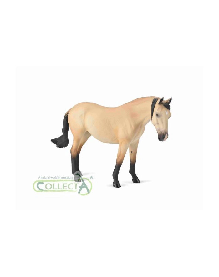 Klacz Lusitano maści buttermilk buckskin 1:12 80002 COLLECTA główny