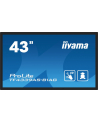 iiyama Monitor 43 cale TF4339AS-B1AG,IPS,4K,HDMIx2,DP,RJ45,3xUSB,40pkt,      ANDROID,24/7 - nr 1