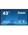 iiyama Monitor 43 cale TF4339AS-B1AG,IPS,4K,HDMIx2,DP,RJ45,3xUSB,40pkt,      ANDROID,24/7 - nr 32