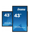 iiyama Monitor 43 cale TF4339AS-B1AG,IPS,4K,HDMIx2,DP,RJ45,3xUSB,40pkt,      ANDROID,24/7 - nr 48