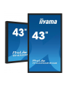 iiyama Monitor 43 cale TF4339AS-B1AG,IPS,4K,HDMIx2,DP,RJ45,3xUSB,40pkt,      ANDROID,24/7 - nr 49