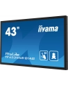 iiyama Monitor 43 cale TF4339AS-B1AG,IPS,4K,HDMIx2,DP,RJ45,3xUSB,40pkt,      ANDROID,24/7 - nr 56