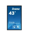 iiyama Monitor 43 cale TF4339AS-B1AG,IPS,4K,HDMIx2,DP,RJ45,3xUSB,40pkt,      ANDROID,24/7 - nr 61