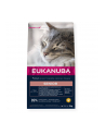 (wersja europejska)KANUBA Kitten Healthy Start chicken - sucha karma dla kota - 10 kg - nr 1