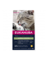 (wersja europejska)KANUBA Adult Hairball Control chicken - sucha karma dla kota - 2 kg - nr 1